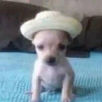 Анастасия Р.