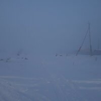 Анастасия Алферова