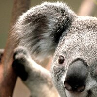 Андрей Захаров