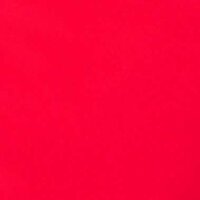 Кактус Сонный