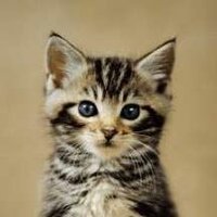 Анна Морозова