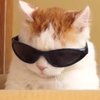 42d70w0wmm4cy4pt9hnacd9zkm