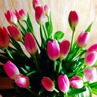 Юлия Габужа