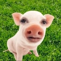 Арсений Зудов
