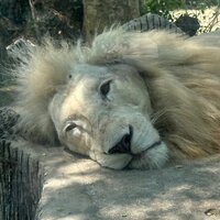 Федор Дмитриев