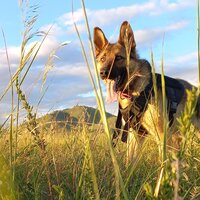 Москвитина Анна