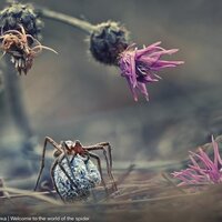 Мария Поливанова