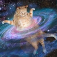 Елизавета Логушко