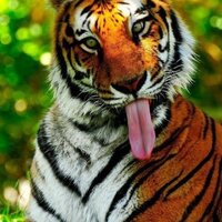 Наталия Игумнова