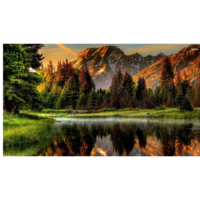 Соловьев Олег