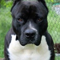 Марина Алексеева