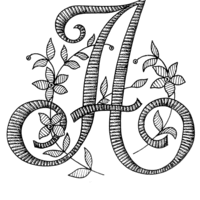 Владимир Новиков