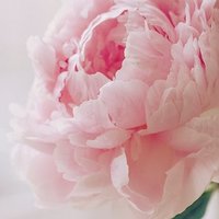 Ольга Скалепова