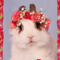 Татьяна Ершова