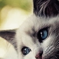 Марина Комарова