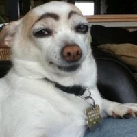 Eyl