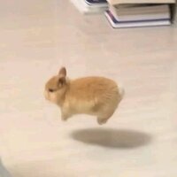 Вика Головцова