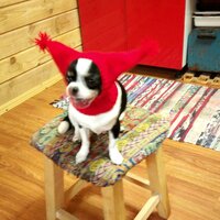 Юрий Перепелица