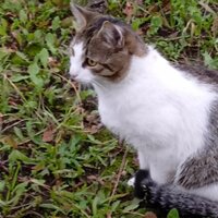 Кристина Константинова