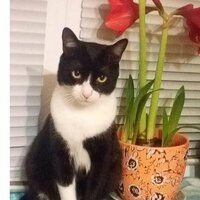 Виталий Минаев