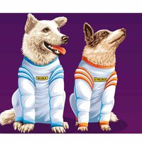 Наталья Натальина