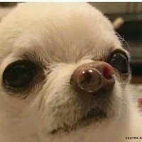 Шалина Ахахина