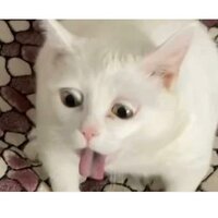 Космические инопланетяне