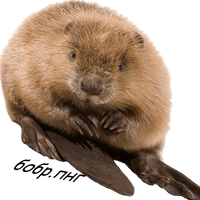 Пивнев Глеб