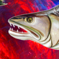 Михаил Судаков