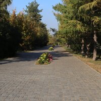 Розалия Гросс