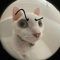 Виорика Талмазан