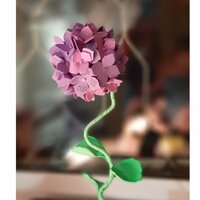 Оксана Заварихина