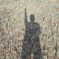 Большой Лебовски