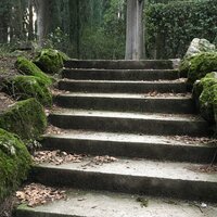 Алина Королькова