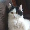 r5dn12wruzf4a9rjvb47eat568