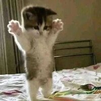 Лина Бархатова