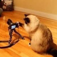 Вероника Глазкова