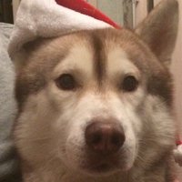 Виктория Мисанова