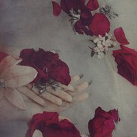 Ника Аппельганц