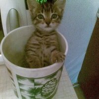 Татьяна Филиппенко