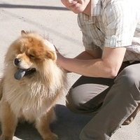 Руслан Прокудин