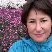 нора зильберт