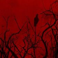 ира смагина