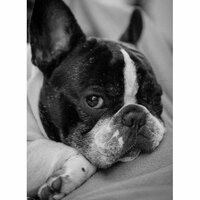 лариса евтифеева