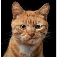 Самойлова Наталия