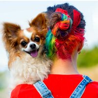 Анастасия Чекушина