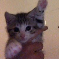 Бондаренко Сергей