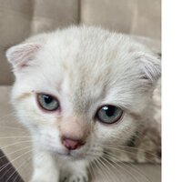 наталья иванова