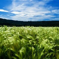 Иван Черкашин