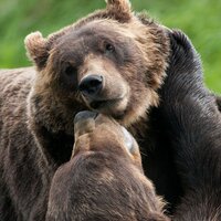 Татьяна Фетисова